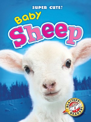cover image of Baby Sheep